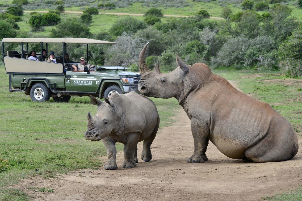 Shamwari Bayethe Villa Paterson Bagian luar foto