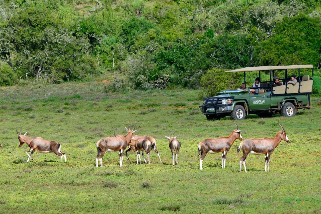 Shamwari Bayethe Villa Paterson Bagian luar foto