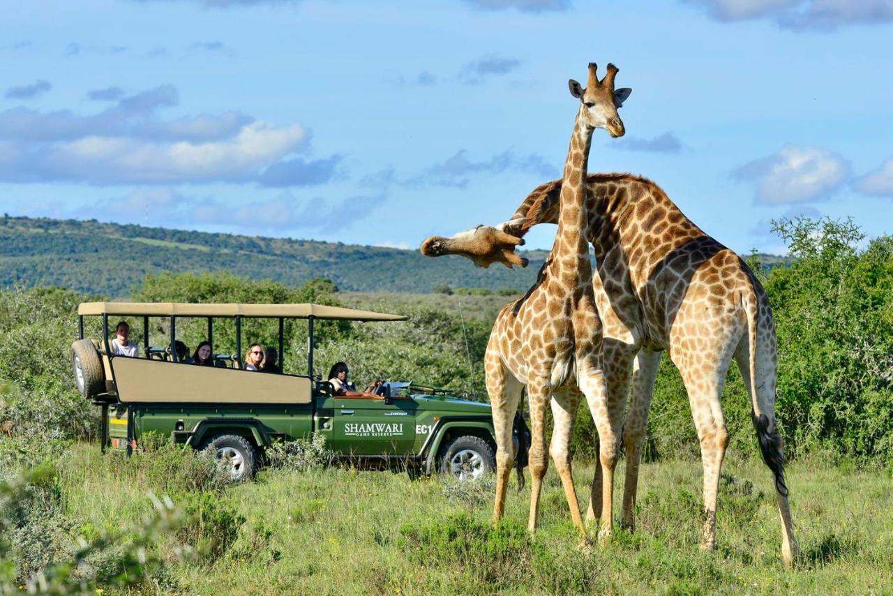 Shamwari Bayethe Villa Paterson Bagian luar foto