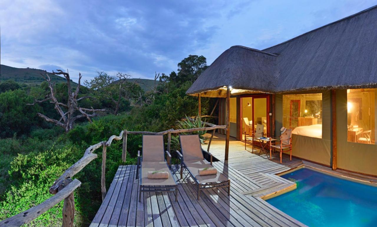 Shamwari Bayethe Villa Paterson Bagian luar foto